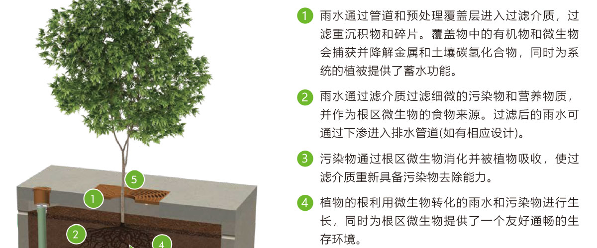 低影響開發(fā)理念綠色設(shè)施,LID理念綠色設(shè)施,智慧雨洪管理方案,智慧雨洪管理系統(tǒng),華南泵業(yè)